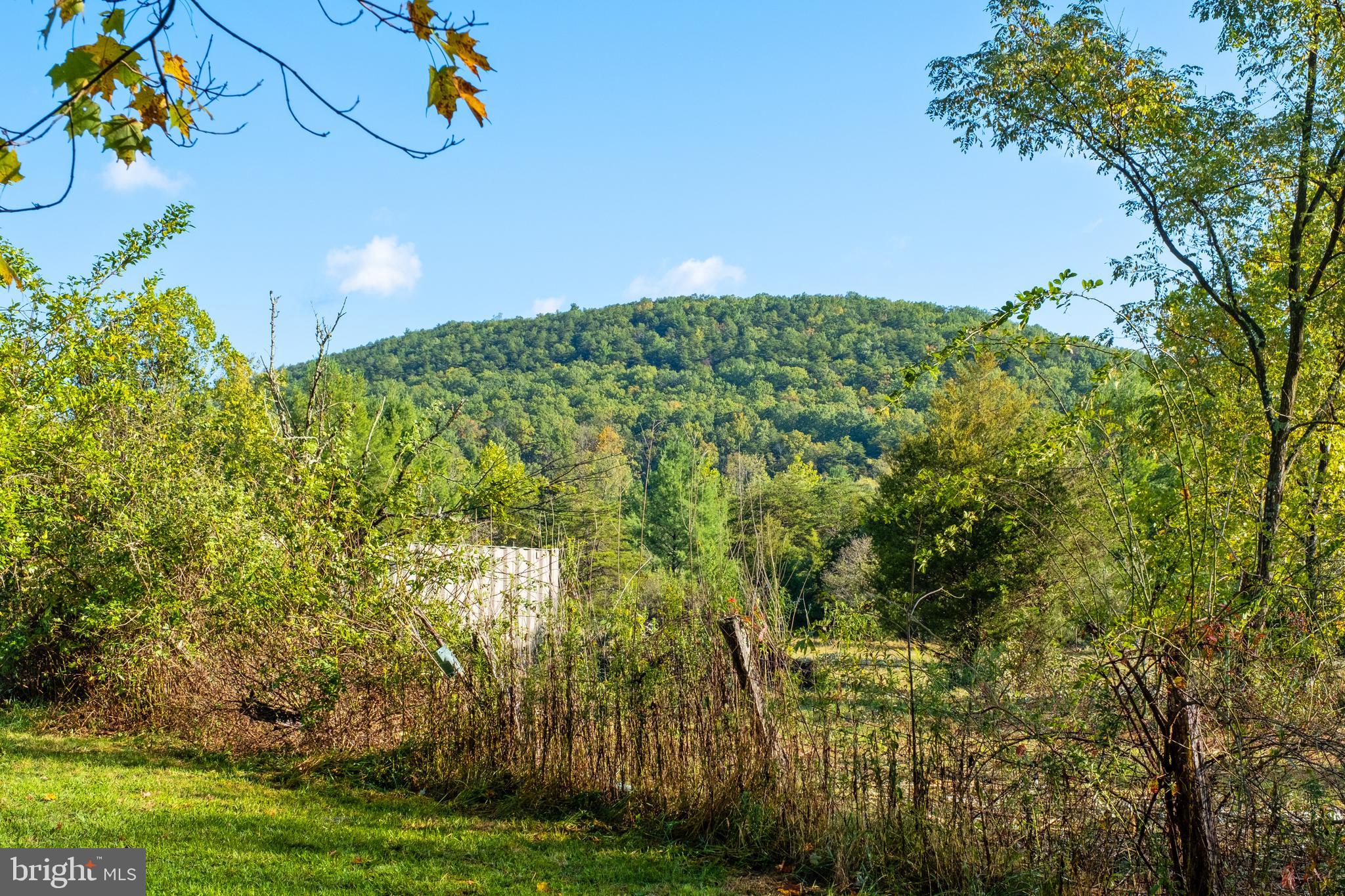 1788 Dellinger Gap Road Edinburg, VA 22824 - Photo 18 of 38 Gallery Image 18