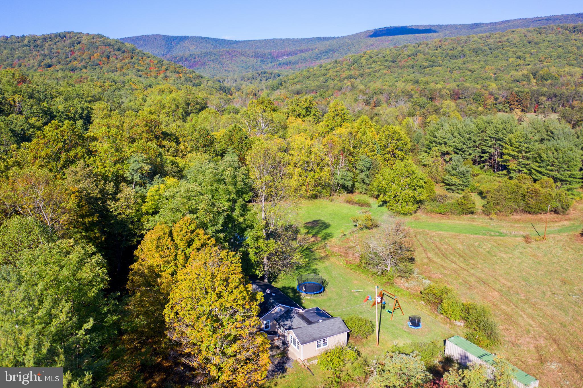 1788 Dellinger Gap Road Edinburg, VA 22824 - Photo 7 of 38 Gallery Image 7