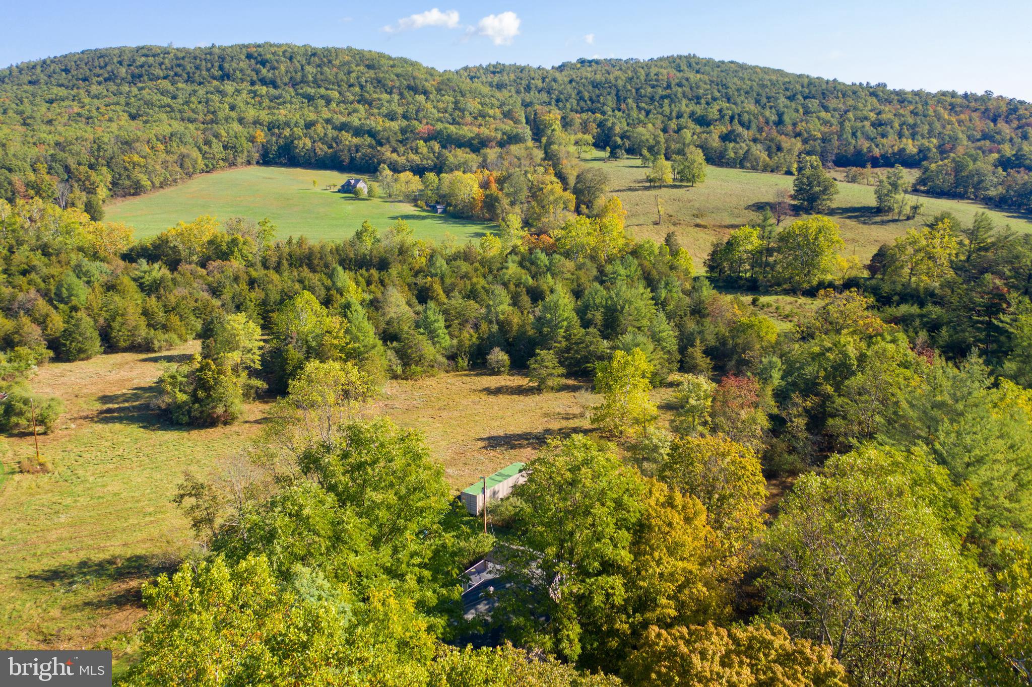 1788 Dellinger Gap Road Edinburg, VA 22824 - Photo 9 of 38 Gallery Image 9