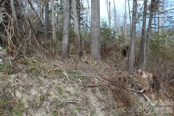 a backyard of a house with lots of green space and fog