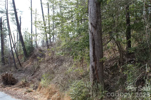 a view of a city from a palm tree