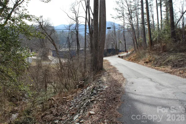 a view of a yard with large trees
