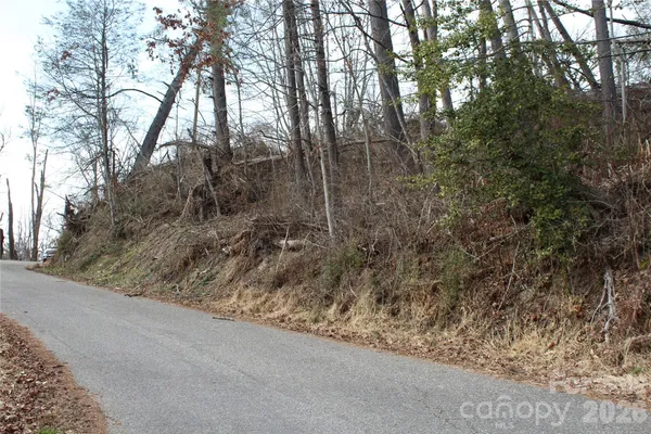 a view of a forest view