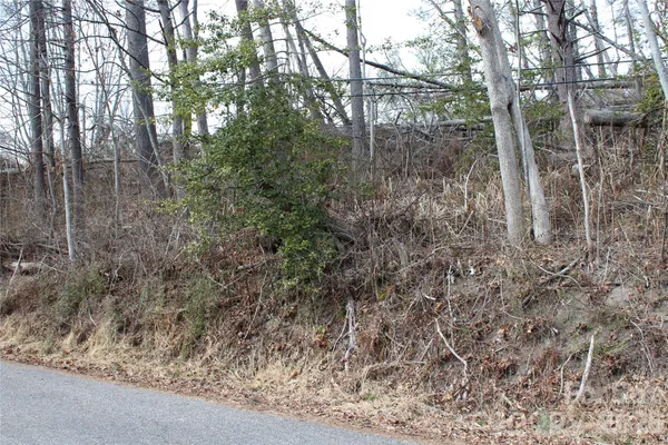 a view of a forest with trees in front of the house