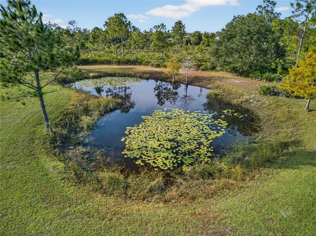 17200 River Ranch Court Punta Gorda, FL 33982 - Photo 34 of 39 a view of a lake with a yard