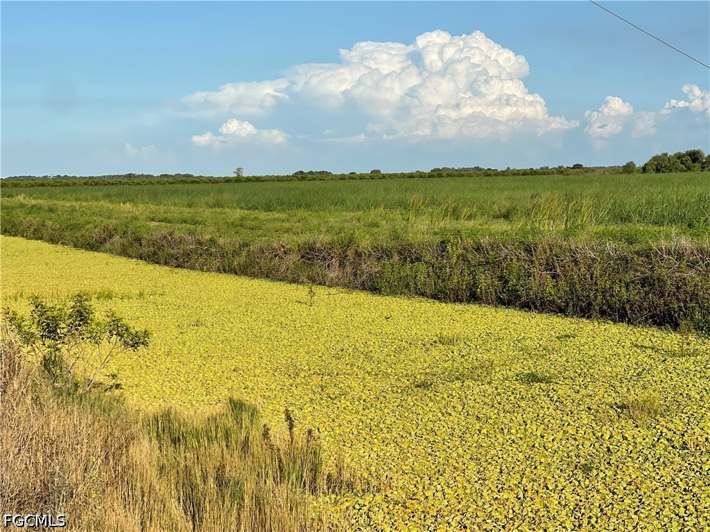 6001 3rd Road Clewiston, FL 33440 - Photo 4 of 5 Gallery Image 4