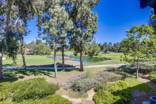 a view of a park with large trees
