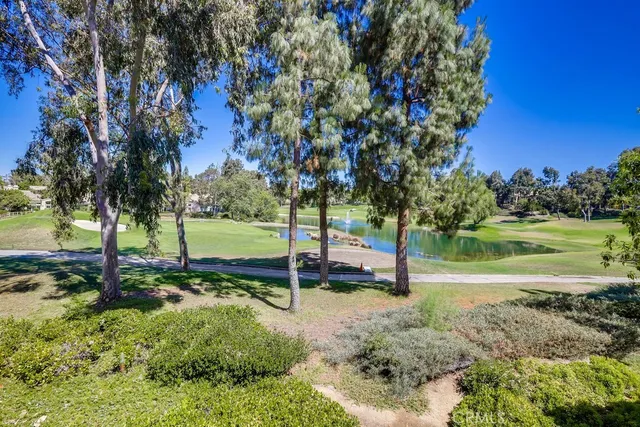 a view of a park with large trees