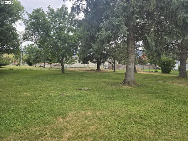 a view of a field with a tree
