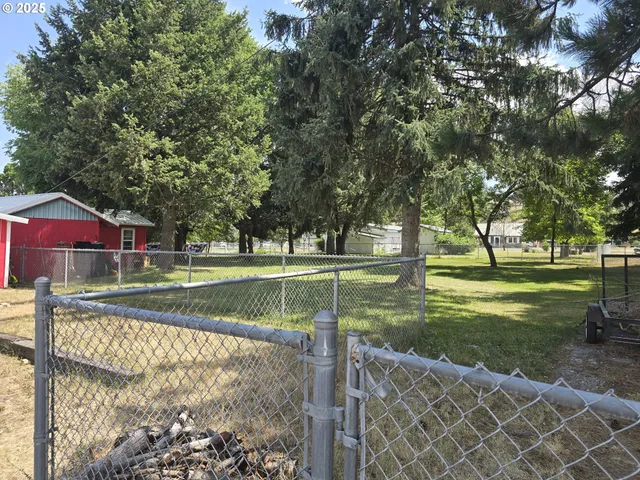 a view of a park with large trees