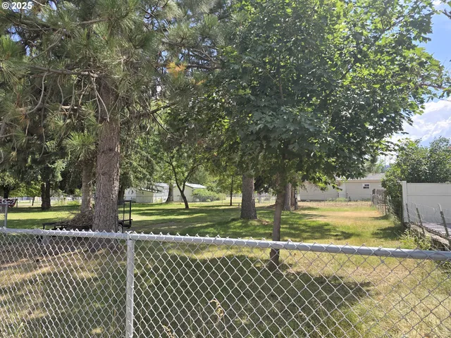 a view of a yard with large trees
