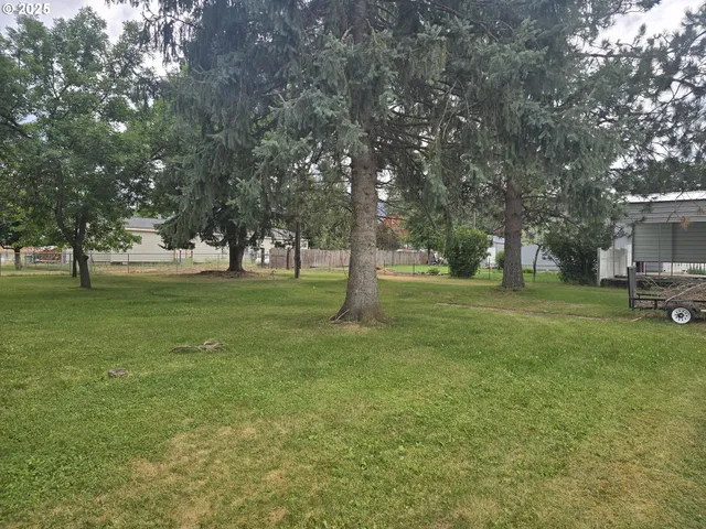 a view of a trees in a yard