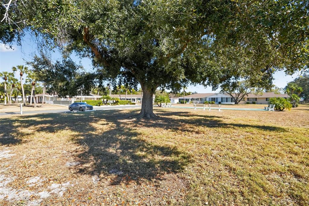 2560 Golf Course Drive, Unit 507 Sarasota, FL 34234 - Photo 43 of 43 a view of yard with tree
