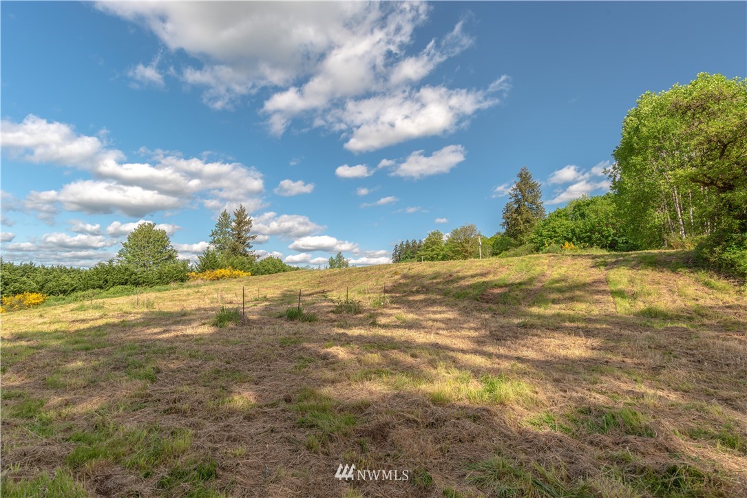 168 Herriford Road Toledo, WA 98591 - Photo 6 of 8 Gallery Image 6