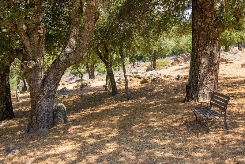 3255 Pine Hills Road Julian, CA 92036 - Photo 25 of 25 Gallery Image 25