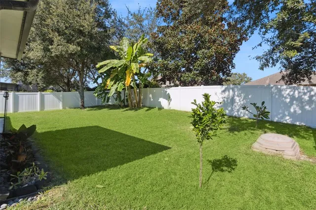 a view of a garden with trees