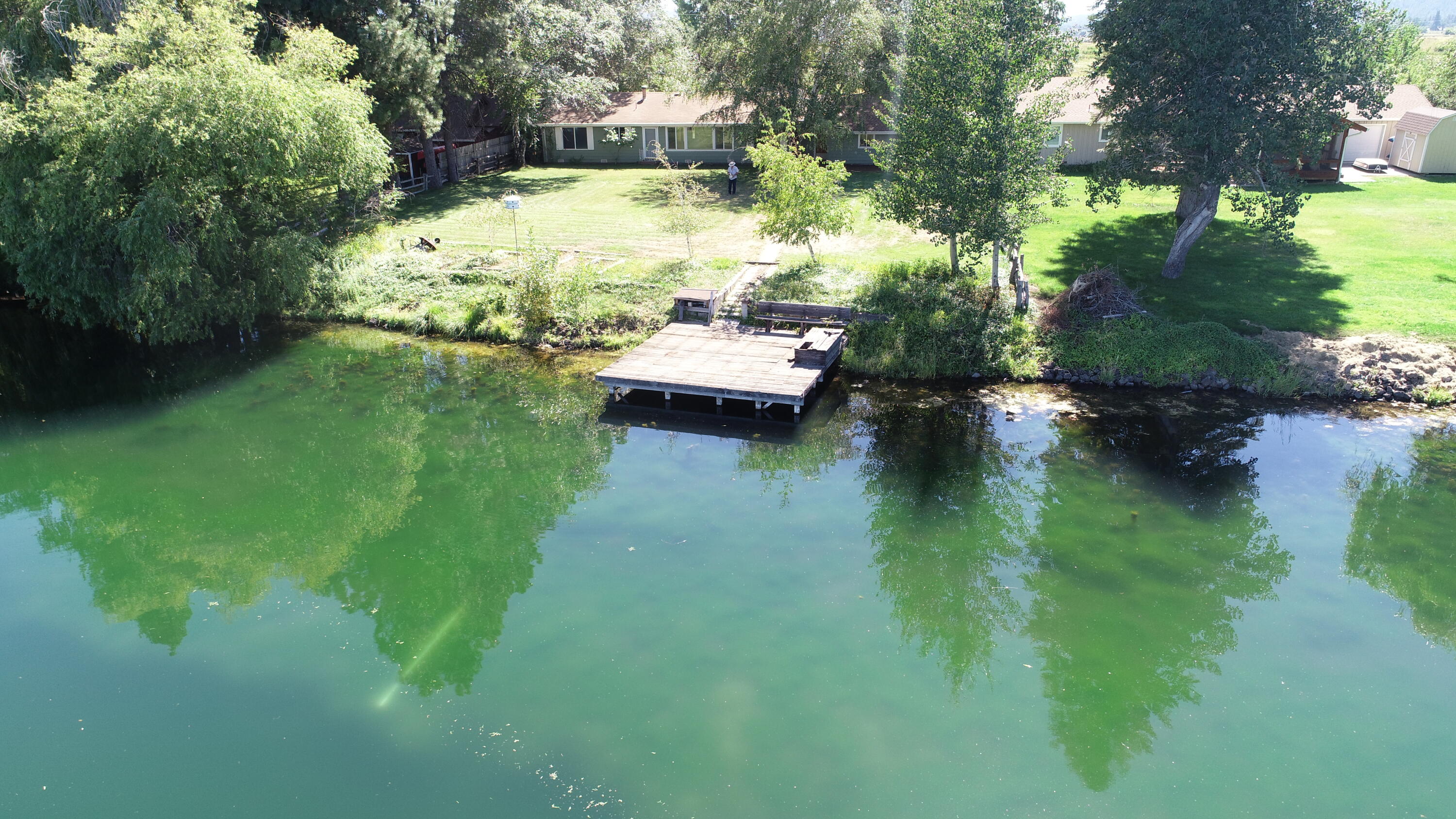 41916 Creighton Road Fall River Mills, CA 96028 - Photo 2 of 50 a view of yard with swimming pool