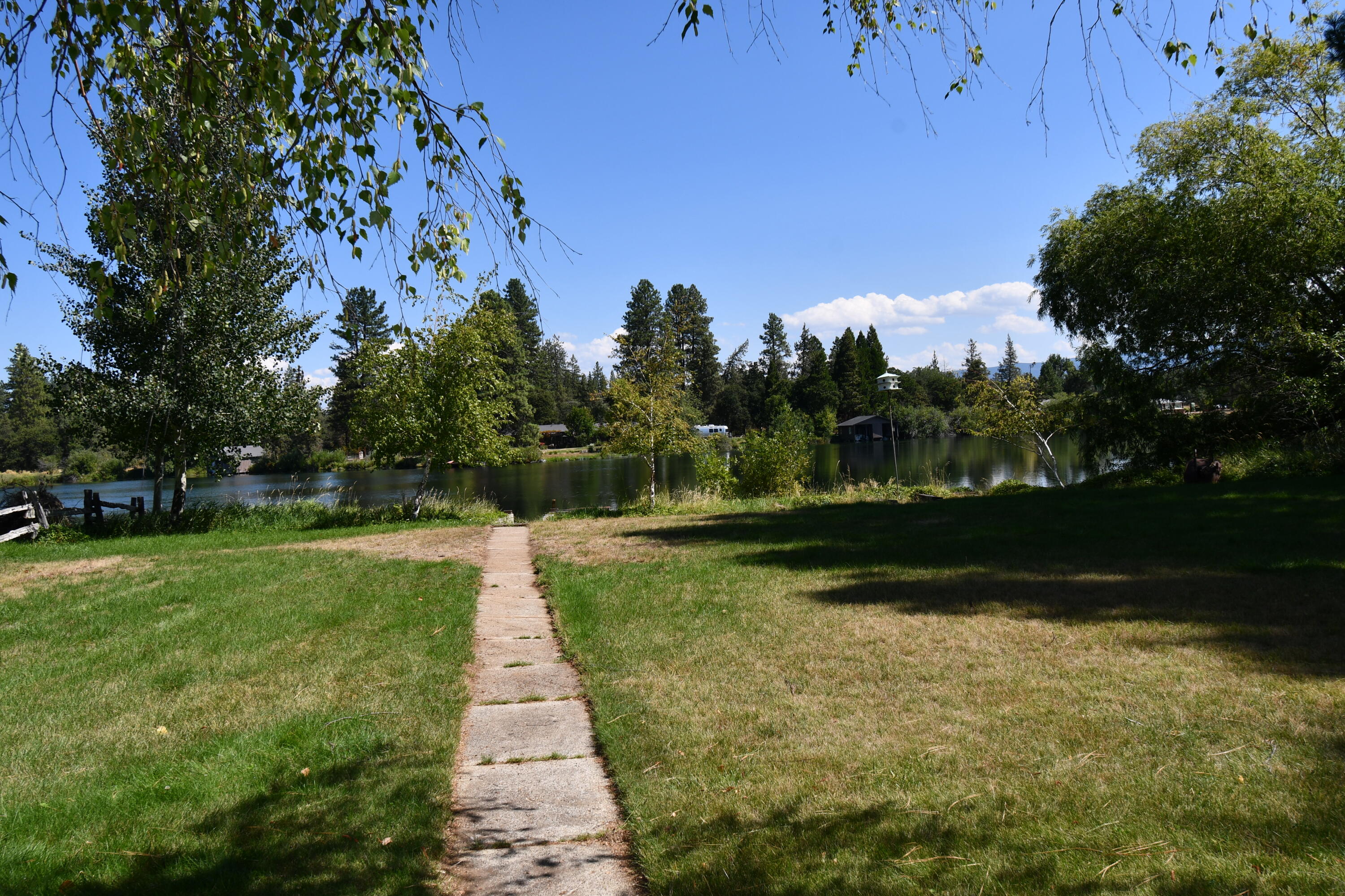 41916 Creighton Road Fall River Mills, CA 96028 - Photo 39 of 50 a view of park with tree s