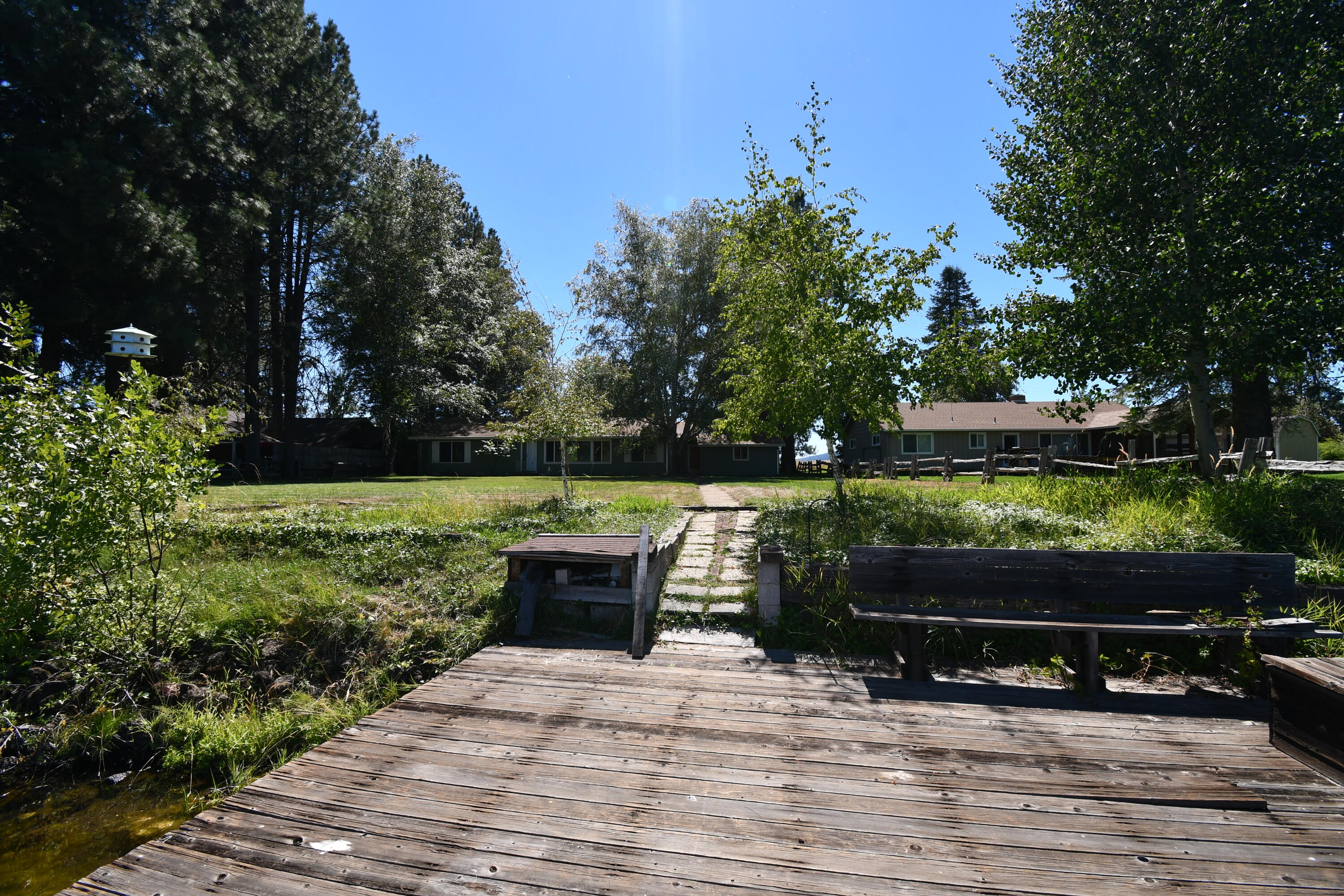 41916 Creighton Road Fall River Mills, CA 96028 - Photo 49 of 50 a view of outdoor space yard and green space