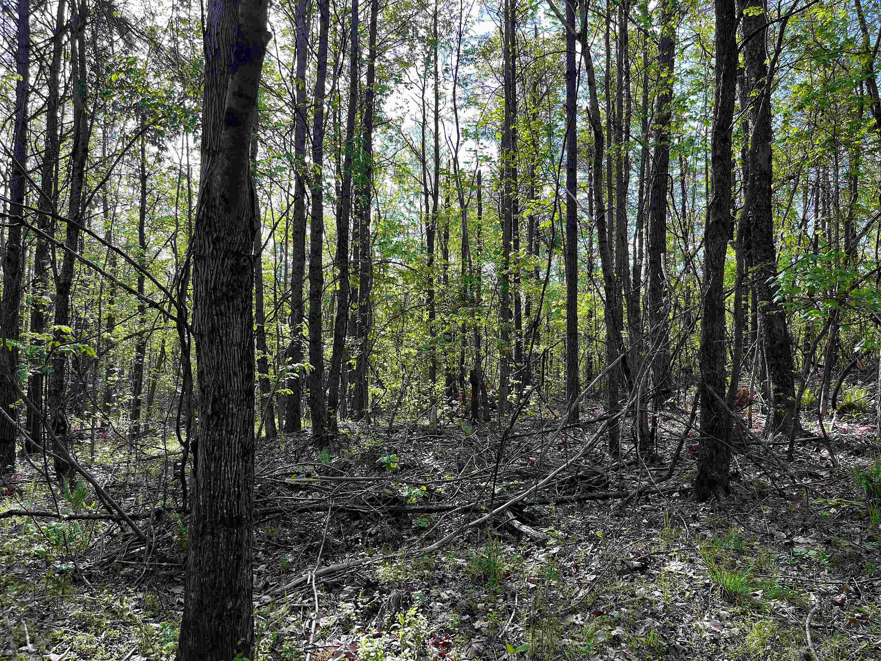 900 Tramel Road Batesville, MS 38606 - Photo 11 of 16