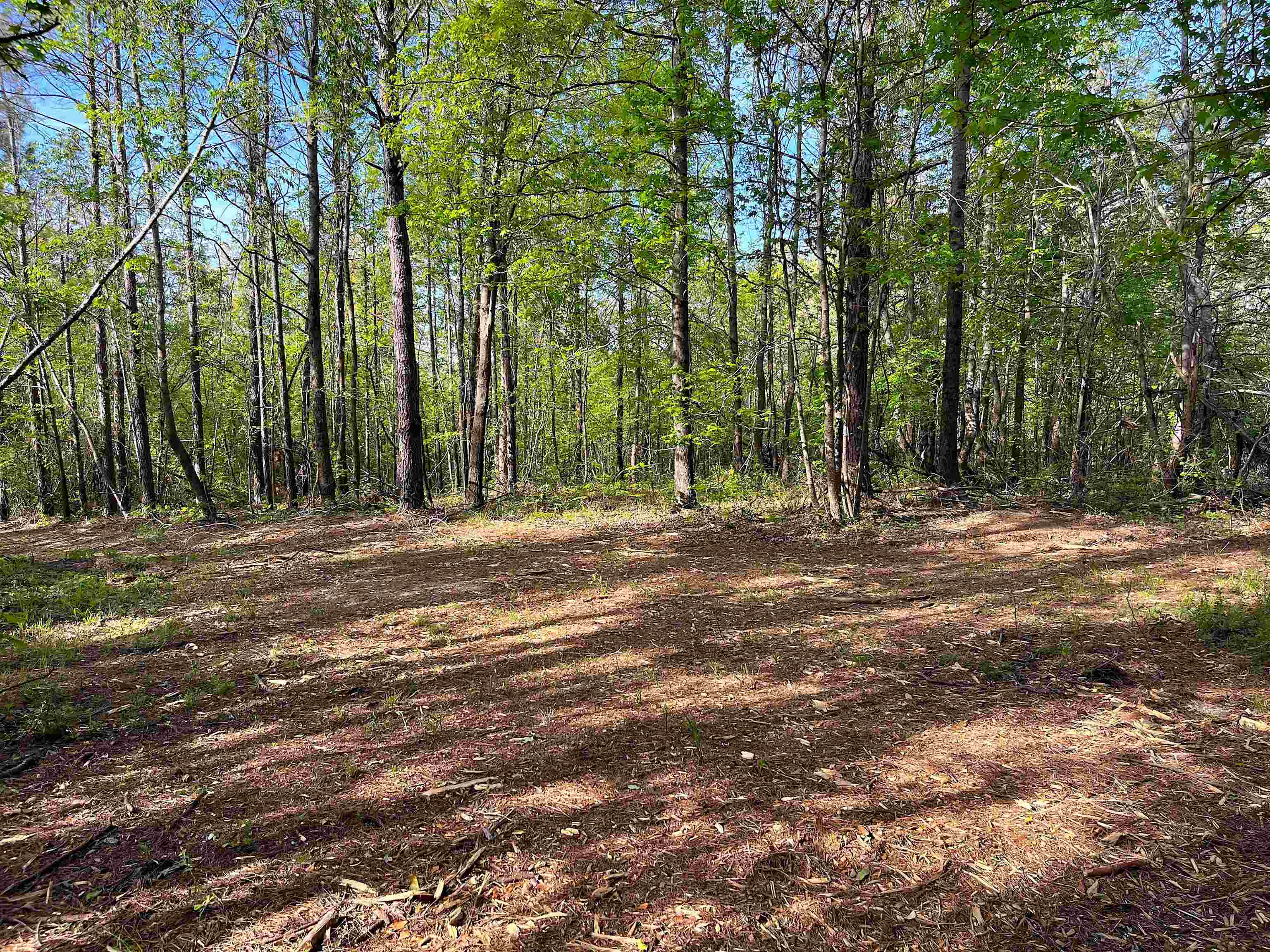 900 Tramel Road Batesville, MS 38606 - Photo 13 of 16