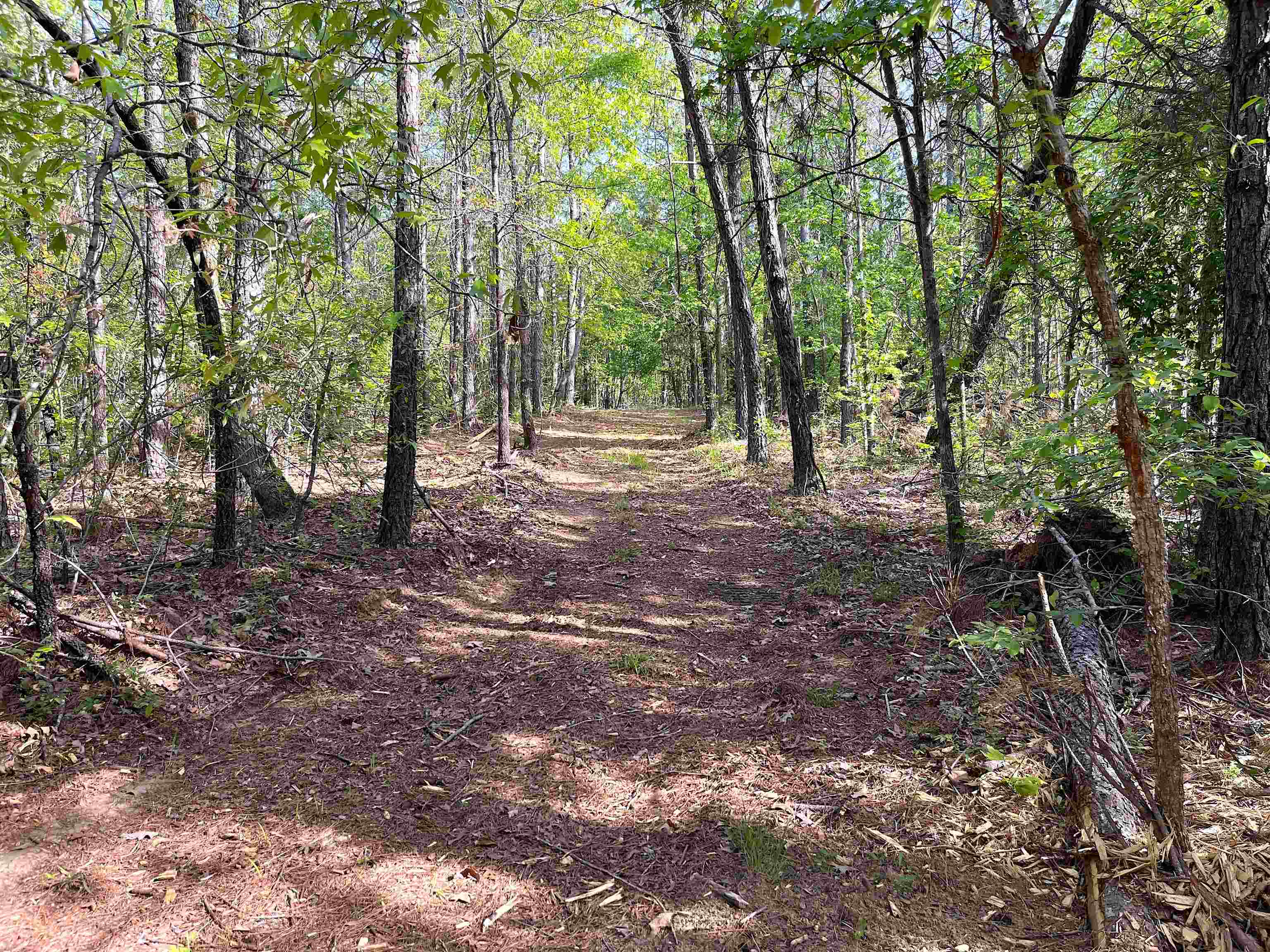 900 Tramel Road Batesville, MS 38606 - Photo 14 of 16