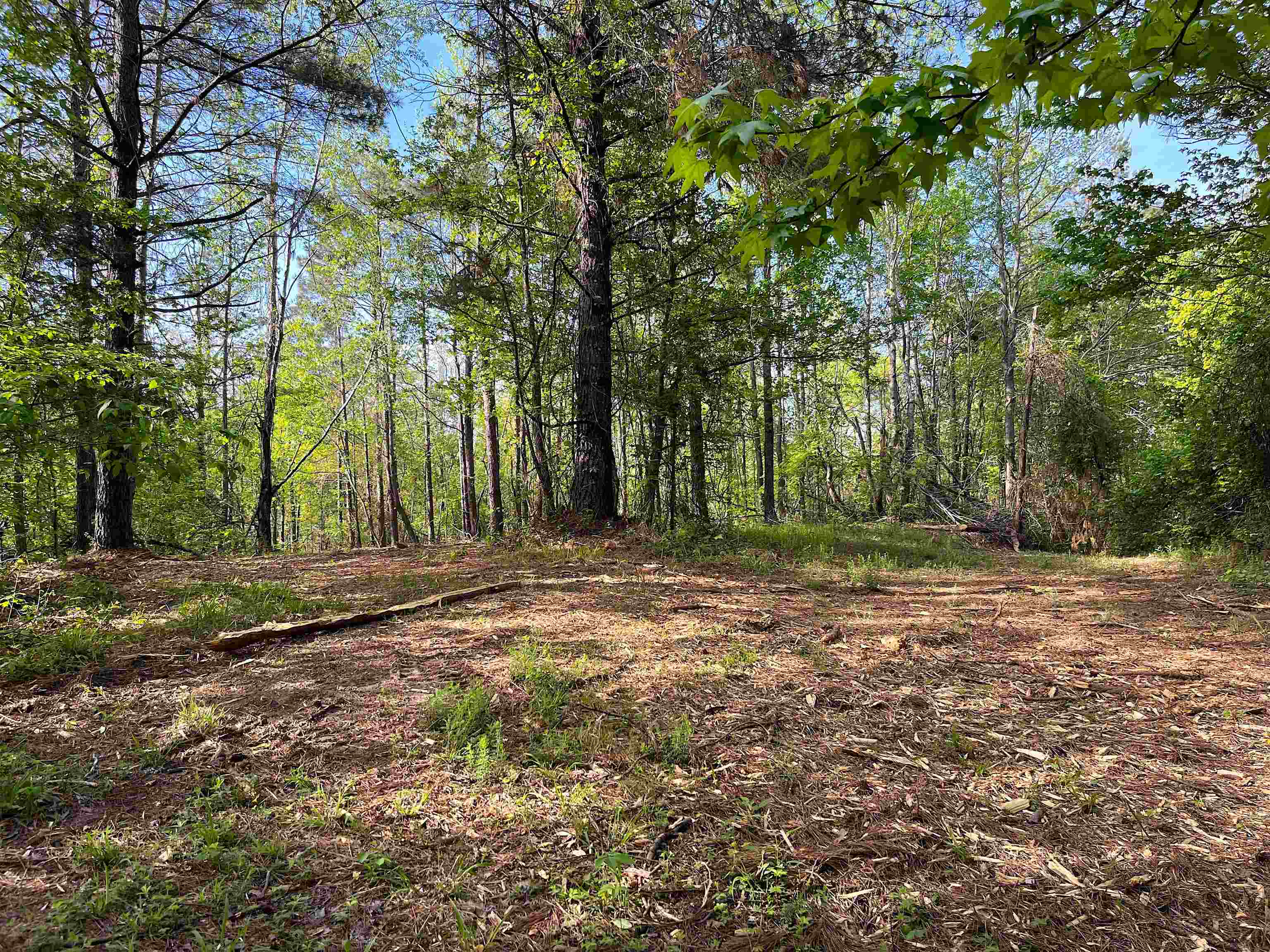 900 Tramel Road Batesville, MS 38606 - Photo 2 of 16