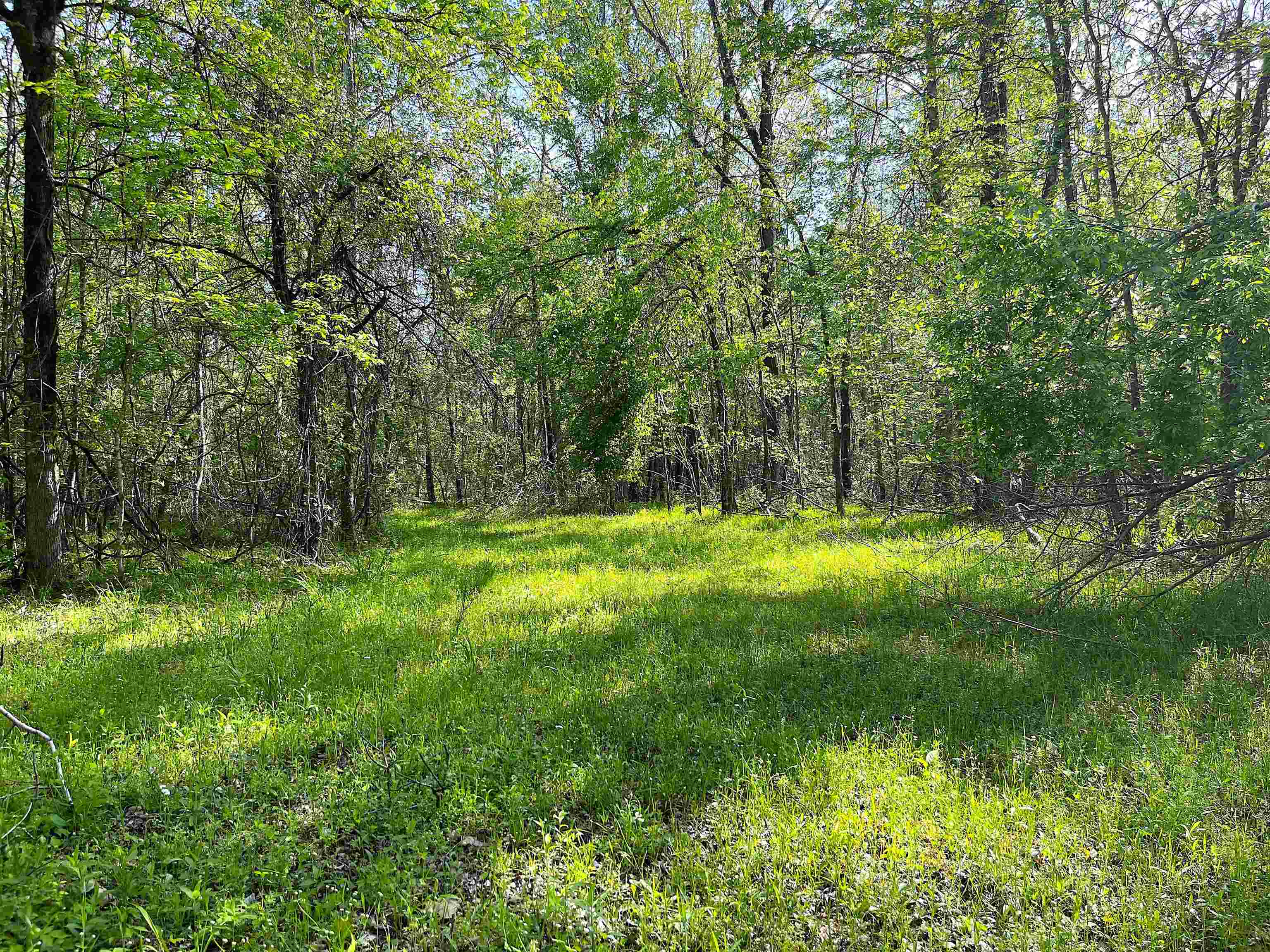 900 Tramel Road Batesville, MS 38606 - Photo 3 of 16