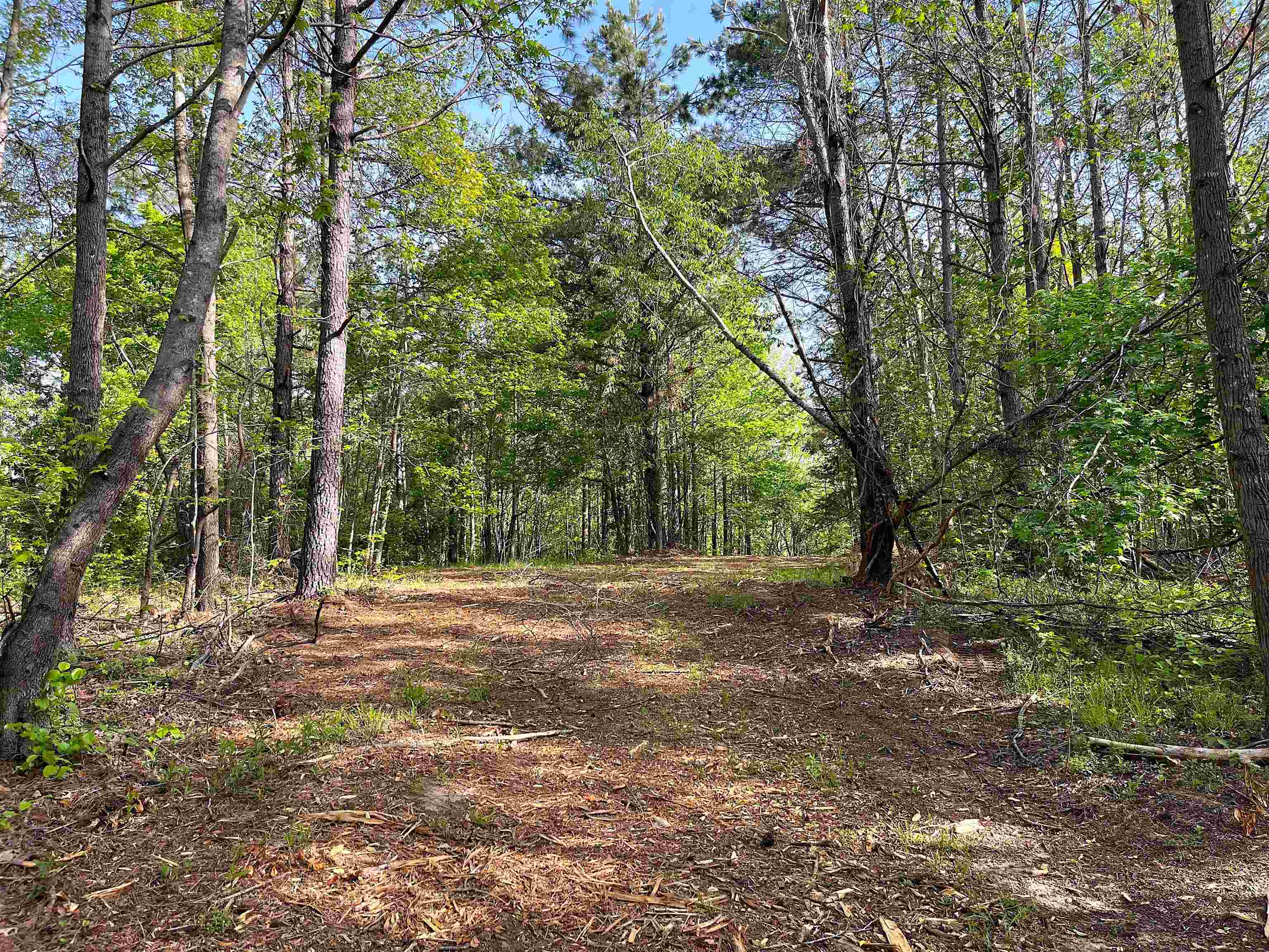 900 Tramel Road Batesville, MS 38606 - Photo 3 of 16