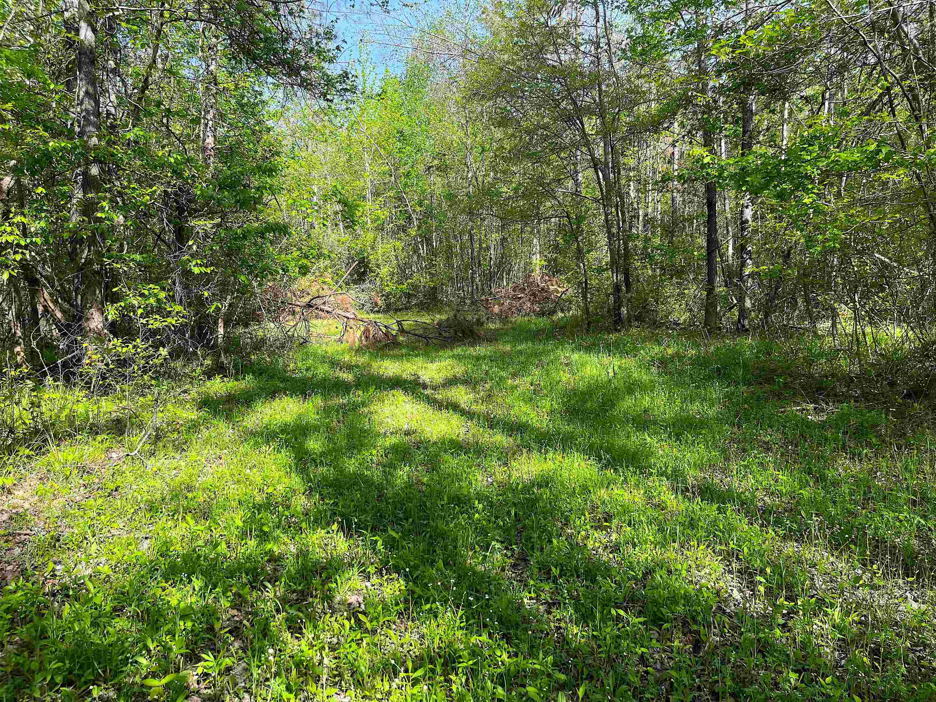 900 Tramel Road Batesville, MS 38606 - Photo 4 of 16