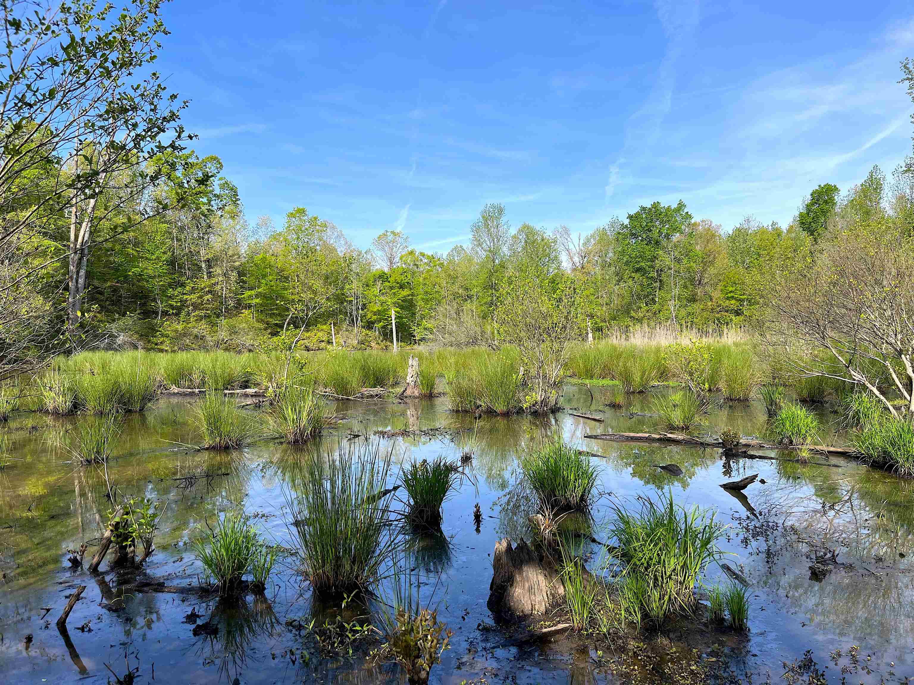 900 Tramel Road Batesville, MS 38606 - Photo 5 of 16