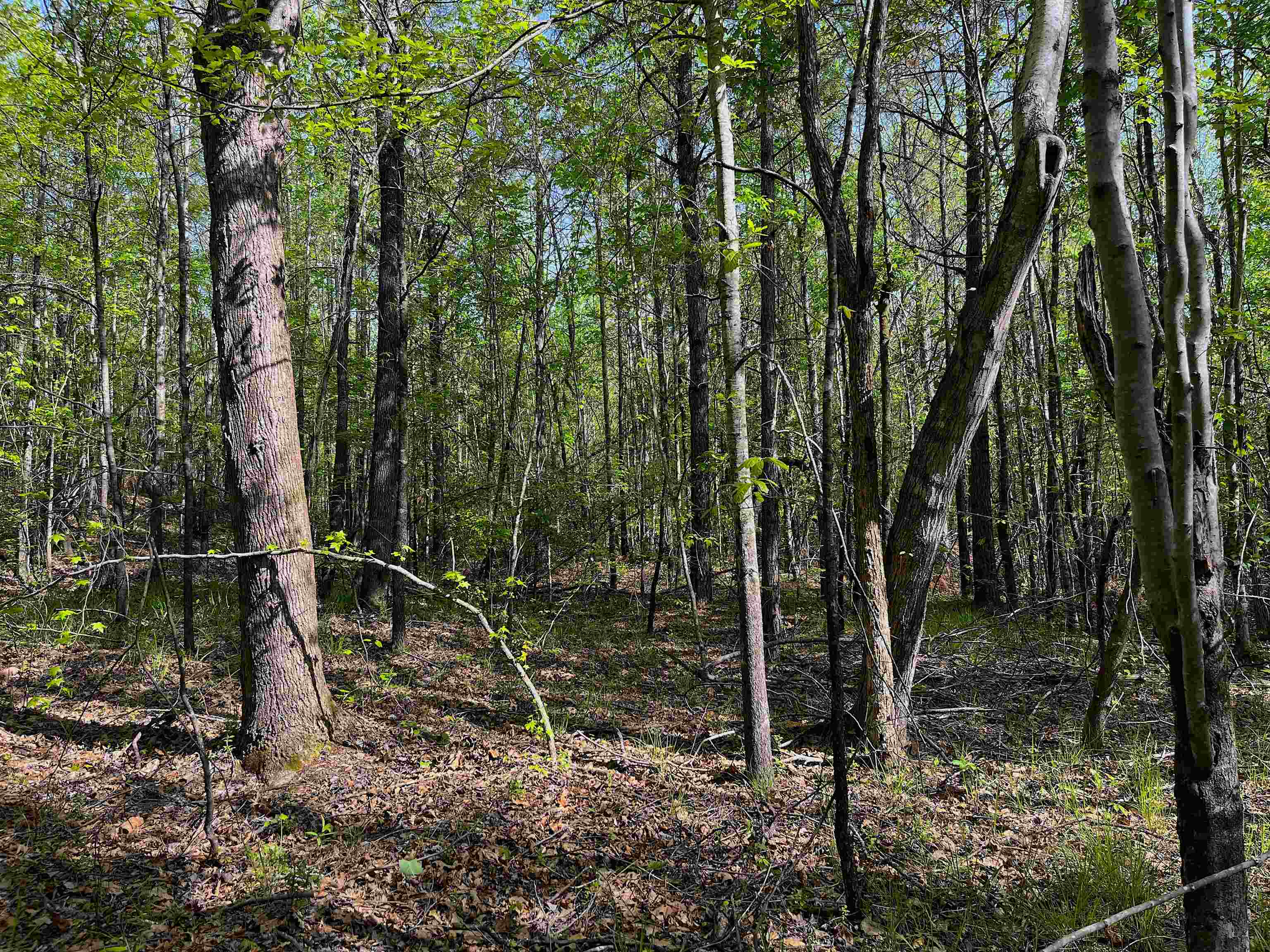 900 Tramel Road Batesville, MS 38606 - Photo 6 of 16