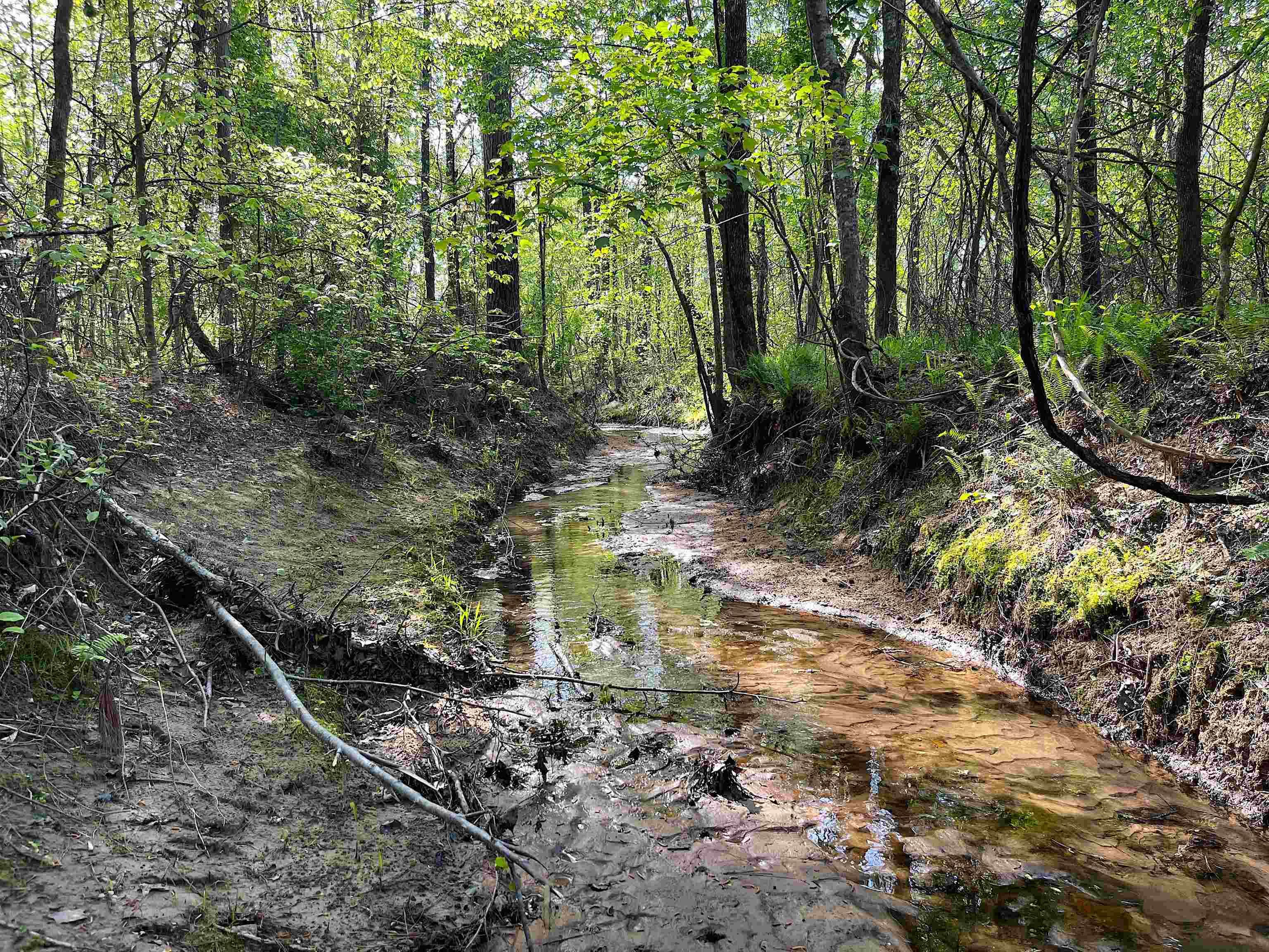 900 Tramel Road Batesville, MS 38606 - Photo 8 of 16