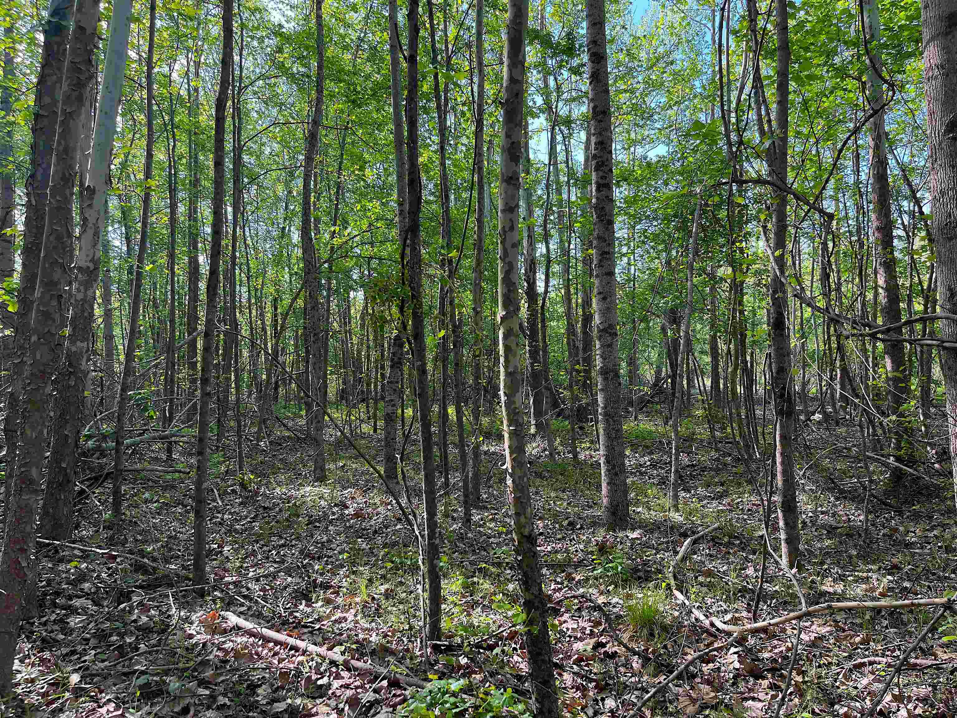 900 Tramel Road Batesville, MS 38606 - Photo 8 of 16
