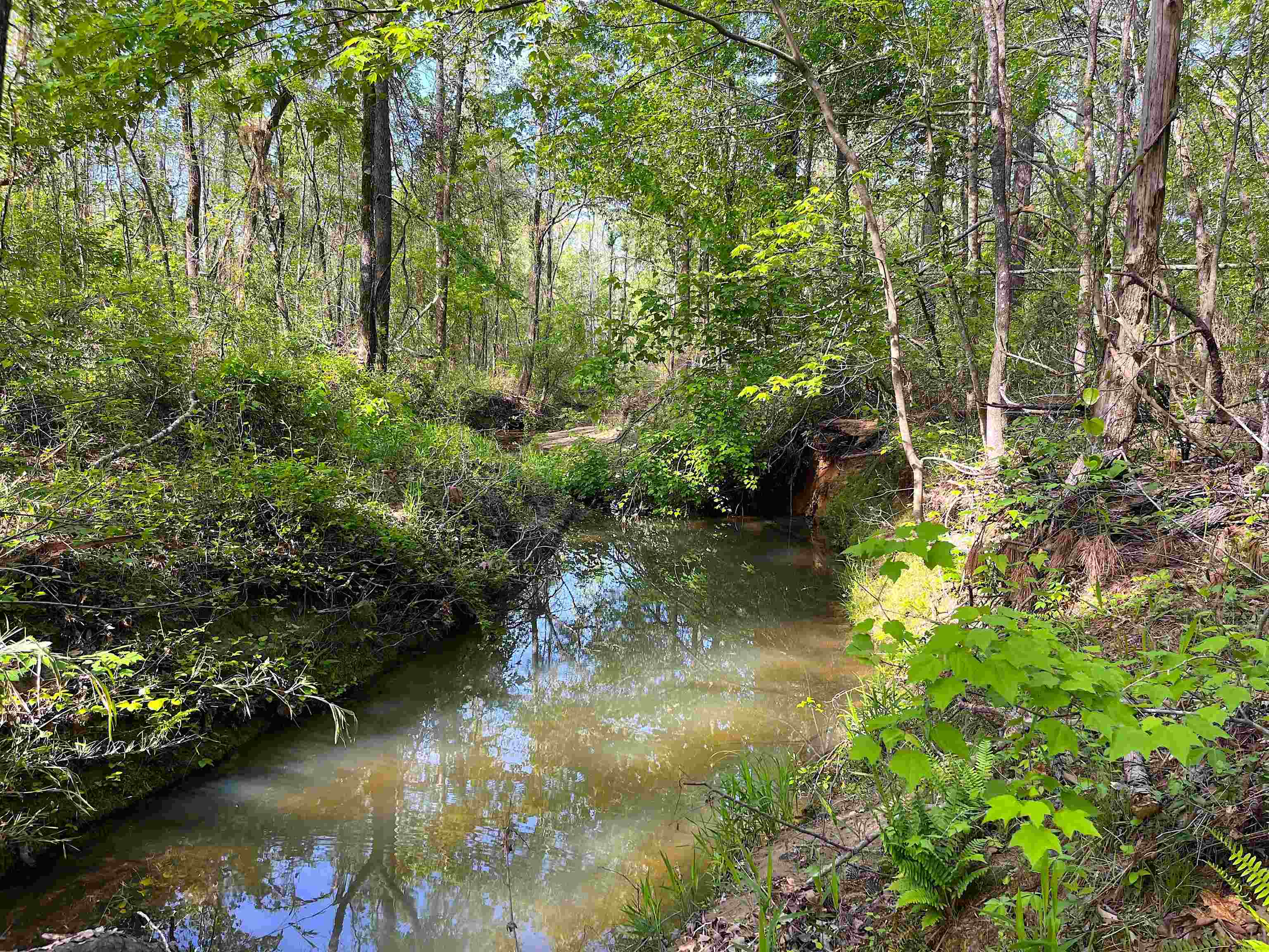 900 Tramel Road Batesville, MS 38606 - Photo 10 of 16