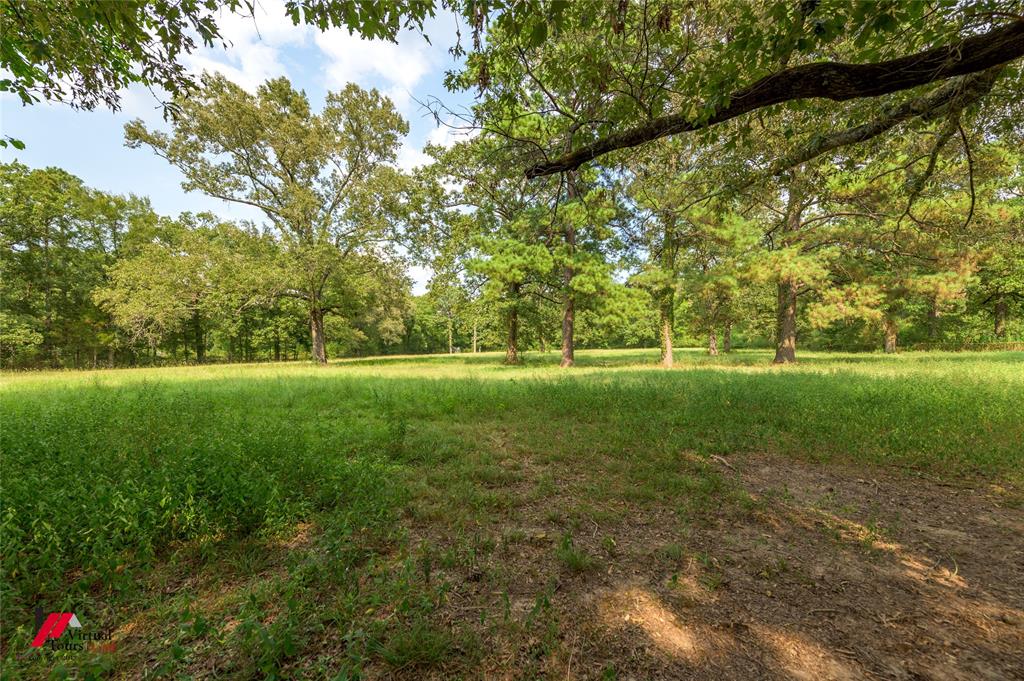 335 Woodland Park Road Stonewall, LA 71078 - Photo 7 of 40 Gallery Image 7