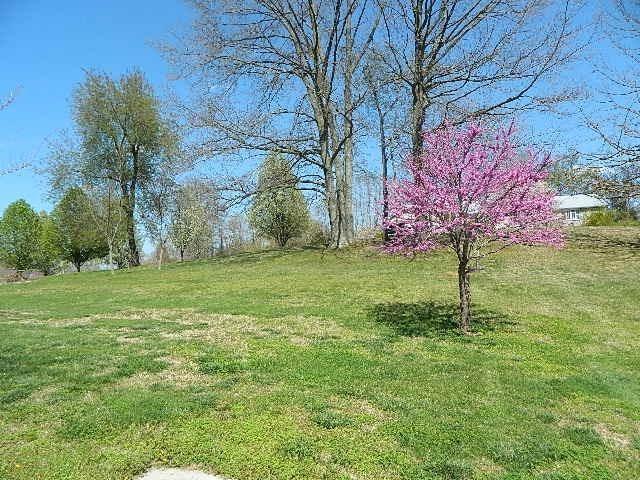 53 Ridgeview Lane Bronston, KY 42518 - Photo 20 of 22 Additional Photo