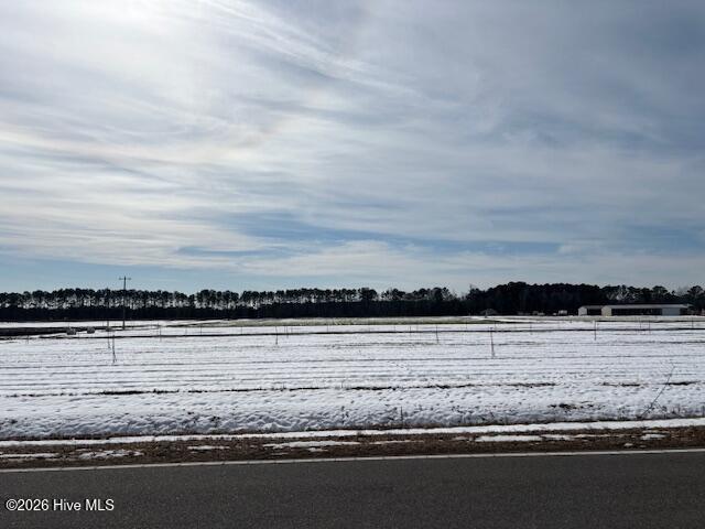 225 Hermitage Road Castle Hayne, NC 28429 - Photo 7 of 8 IMG_2370