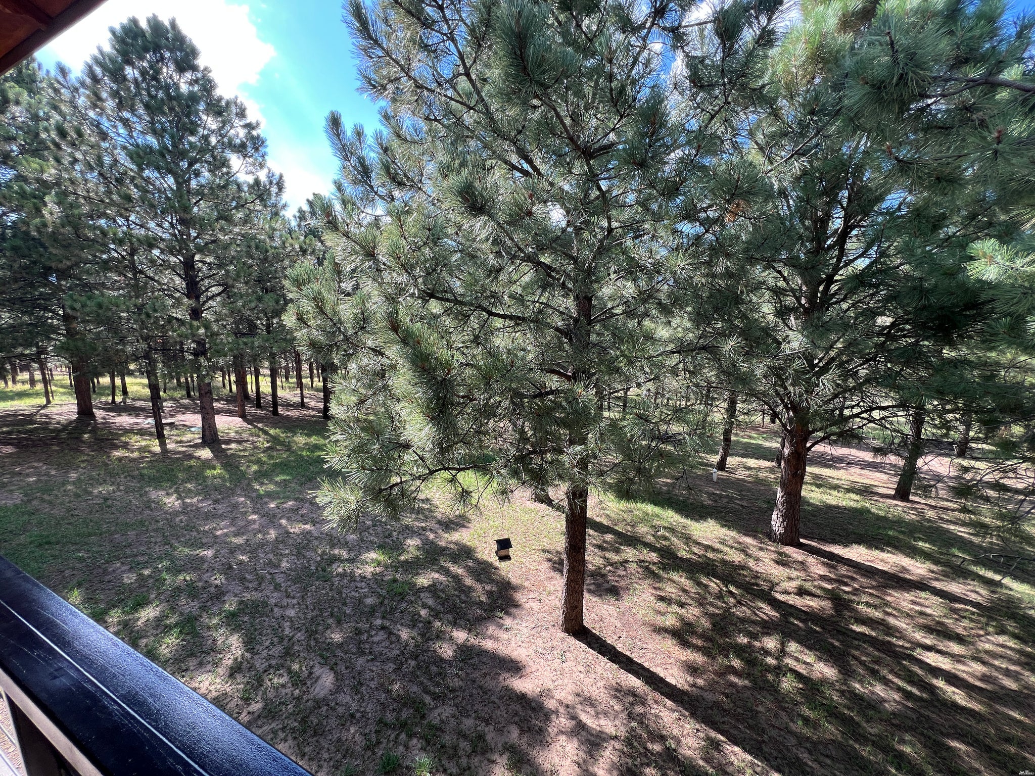5 Canuto Court Rociada, NM 87742 - Photo 29 of 43 Gallery Image 29