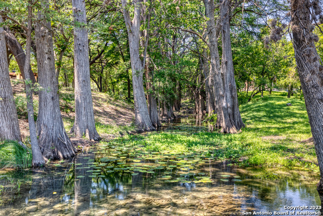 28 South River Pl Road Rio Frio, TX 78879 - Photo 7 of 40