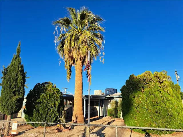 a view of a palm tree with flower in front of it