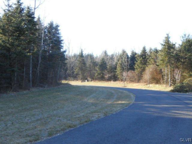 3 Evergreen Road Riegelsville, PA 18077 - Photo 5 of 9