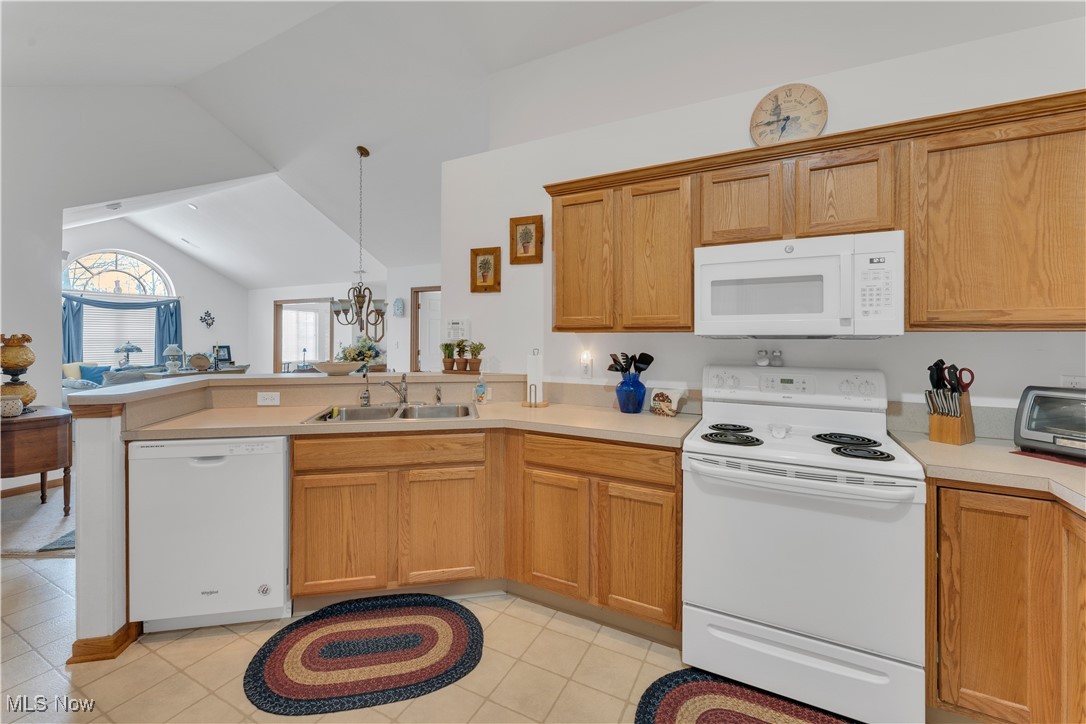 9151 Springfield Road, Unit 1001 Youngstown, OH 44514 - Photo 7 of 32 Gallery Image 7
