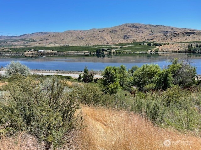 31 Osprey Nest Road Pateros, WA 98846 - Photo 6 of 15