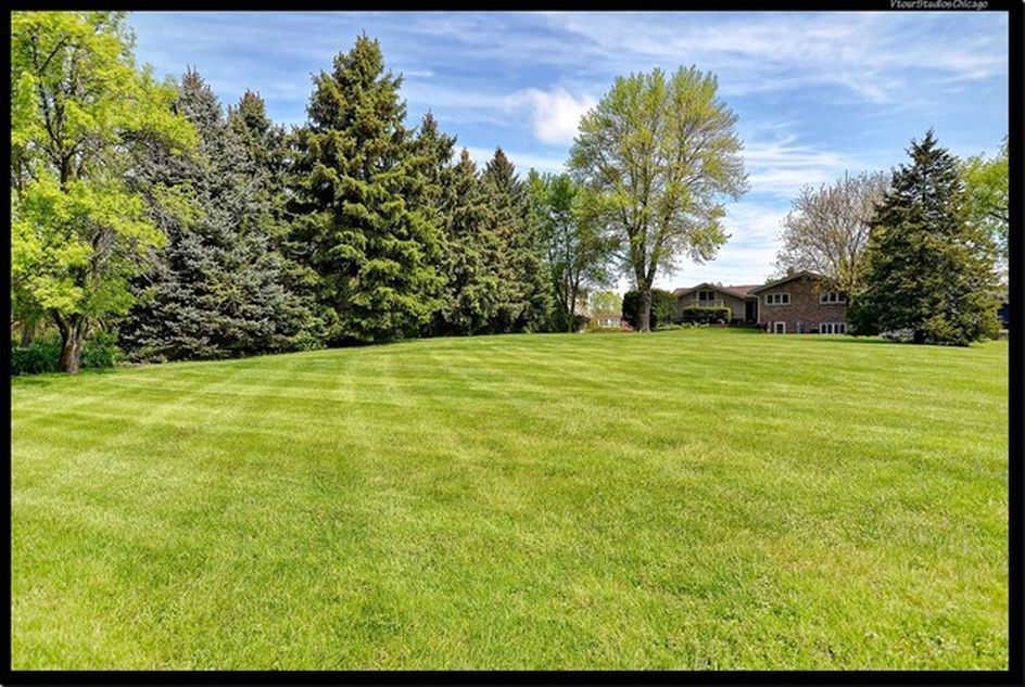 8538 Washington Street Downers Grove, IL 60516 - Photo 17 of 18