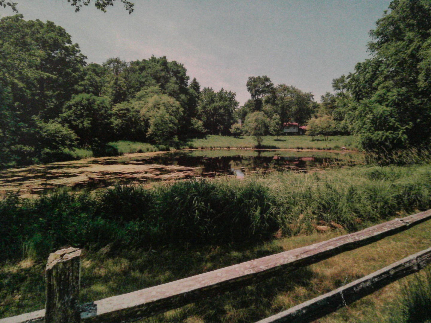 8538 Washington Street Downers Grove, IL 60516 - Photo 18 of 18