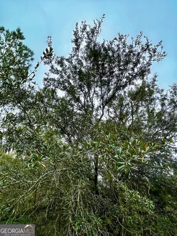 $799,000 | 0 Highway 98, Perry, FL 32348