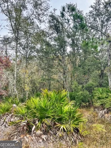 $799,000 | 0 Highway 98, Perry, FL 32348