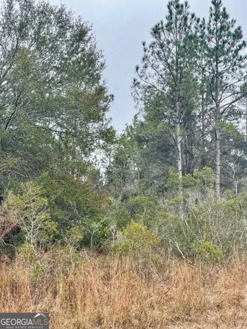 $799,000 | 0 Highway 98, Perry, FL 32348