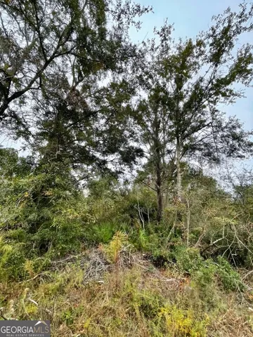 $799,000 | 0 Highway 98, Perry, FL 32348